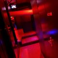 Img 7454